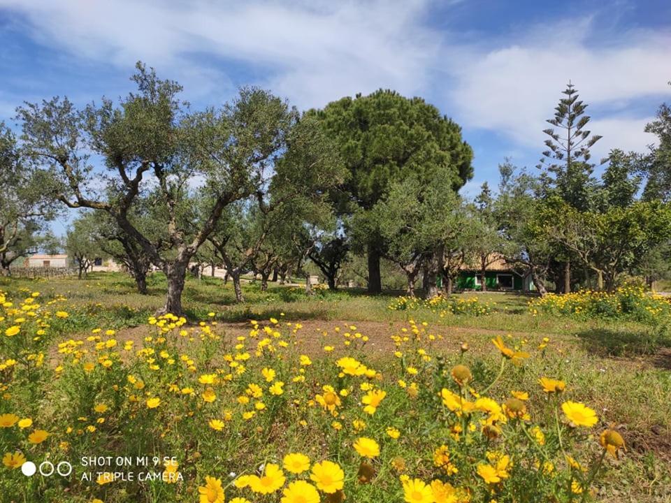 Lithies Farm Houses Vasilikos  Exterior photo